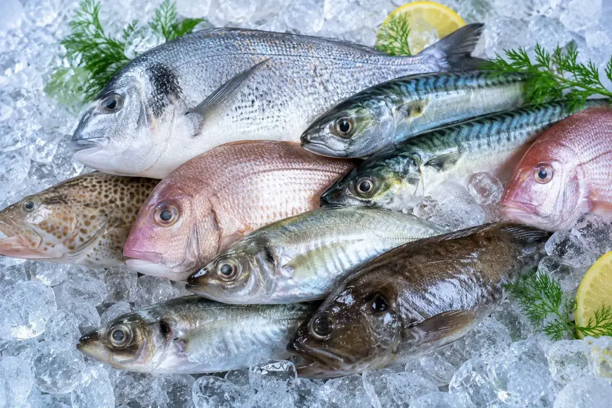 Fish
