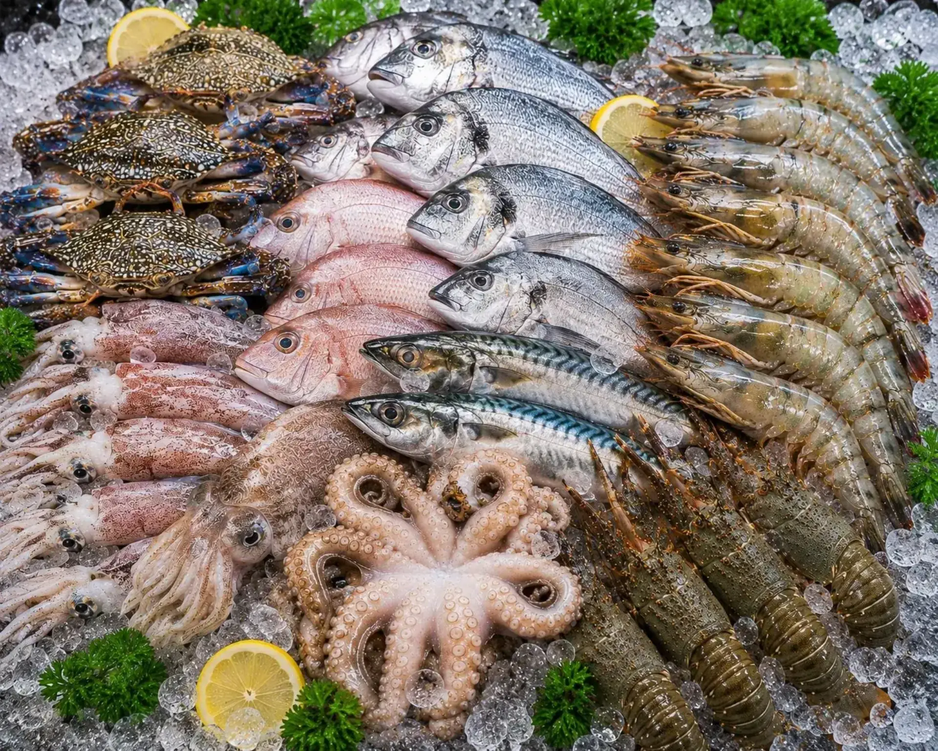 Premium seafood export display — fresh fish, prawns, crab and squid on ice