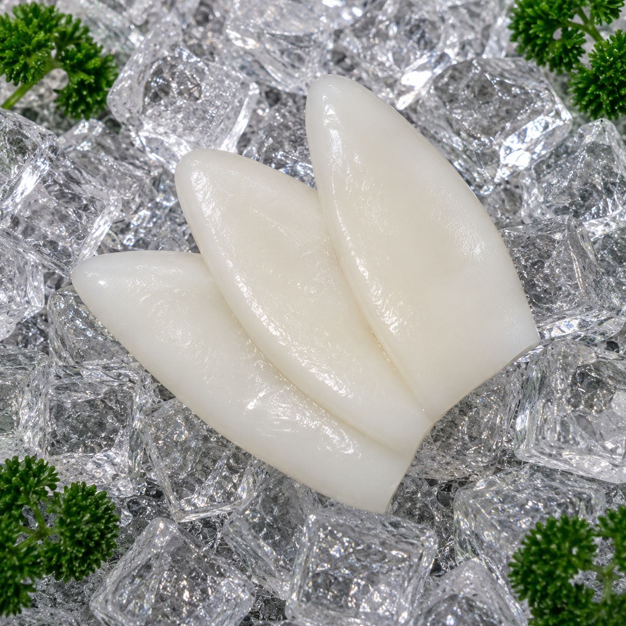 Squid Tubes