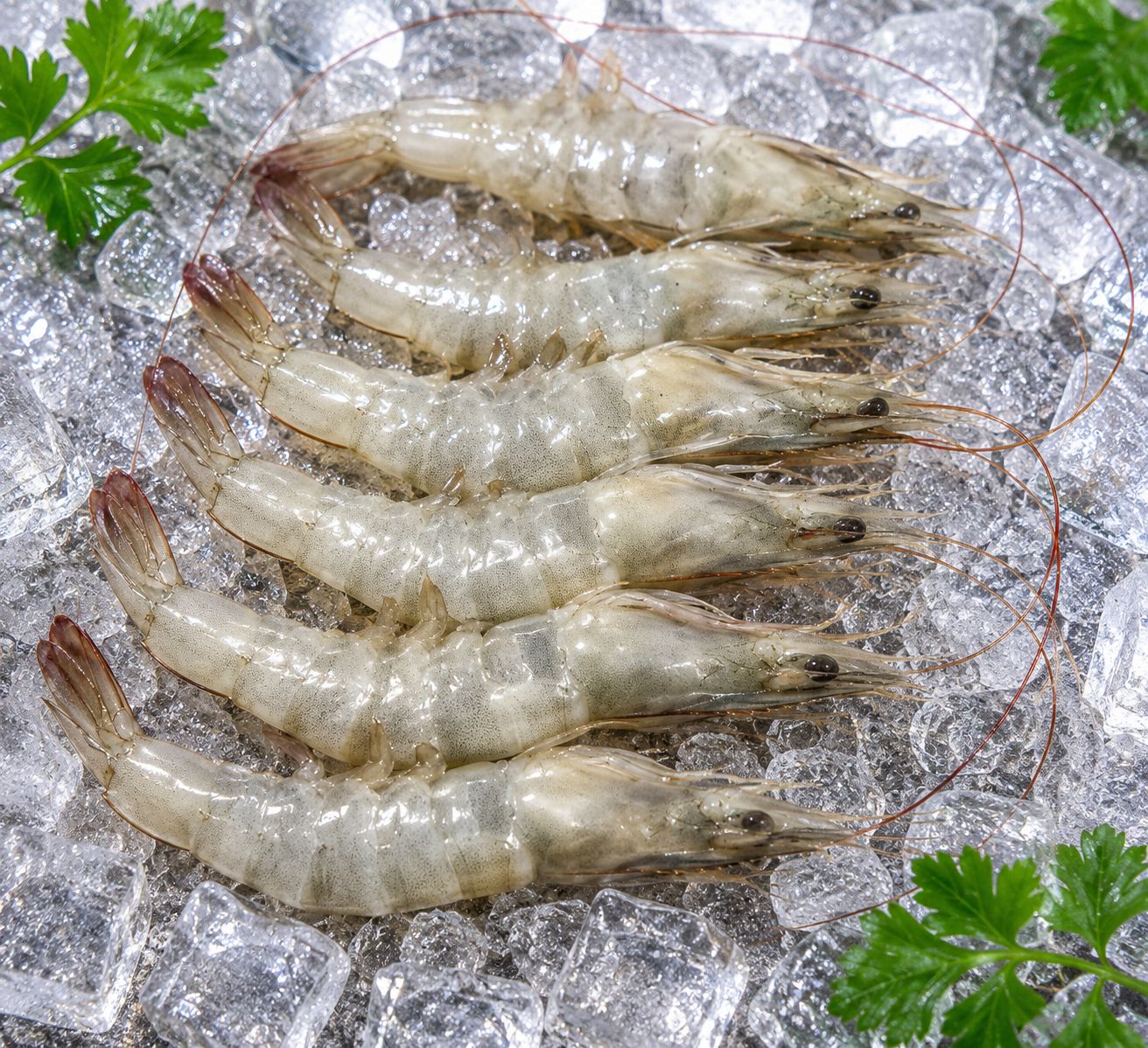 Vannamei Head On Shell On Shrimps